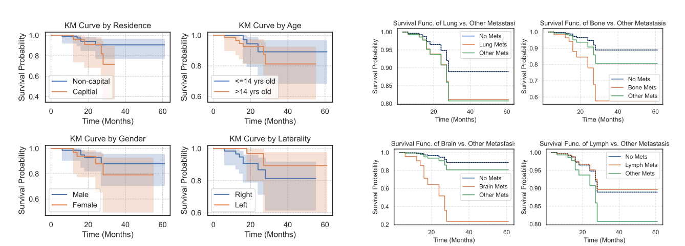 Clinical Features and Survival Analysis of Osteosarcoma Patients: A Vietnamese Nationwide Retrospective Study featured image