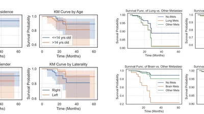 Clinical Features and Survival Analysis of Osteosarcoma Patients: A Vietnamese Nationwide Retrospective Study featured image